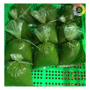 Productos de Hoja de Yuca Congelada, Origen Vietnam, Calidad Premium A, Calidad de Exportación, Venta al Por Mayor a Granel - Product Image 1