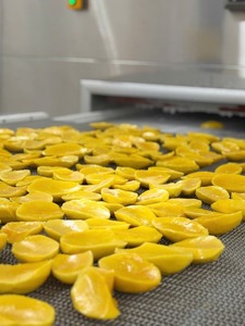 Vietnam Mango Premium Quality IQF Type Customize Cutting Shape Natural Sweet, IQF Mango <b>Dice</b> - CARYLN - Product Image 2