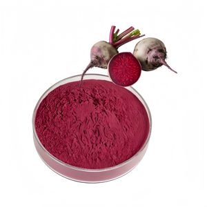 Top Quality Beetroot Powder 100% Natural Food Grade Beta vulgaris Powder Bulk Supplier for Natural Coloring and Flavor of Food - Product Image 1