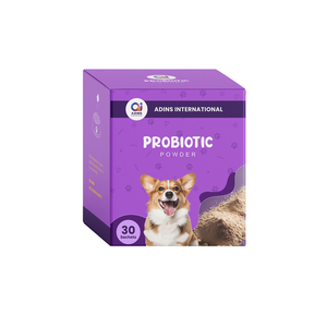 Probiotiques végétariens OEM 4 BCFU en poudre pour chiens et chats - Santé intestinale naturelle et absorption rapide, sans céréales biologiques - Product Image 1