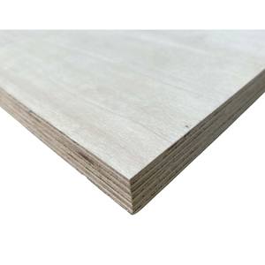 Contrachapado de Álamo de Grado Profesional con Superficie Lisa, Alta Resistencia y Rendimiento Duradero - Product Image 5