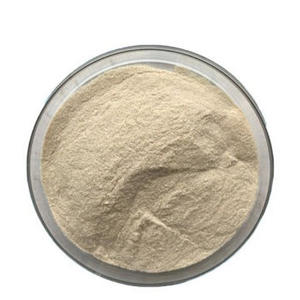 Enzyme protéase alcaline de qualité alimentaire, poudre de qualité supérieure pour la transformation de la viande et la modification des protéines laitières - Product Image 6