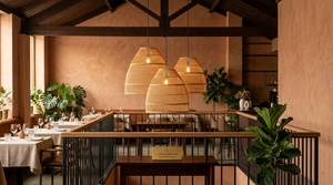 Decorative Rattan Hanging Lampshade Handwoven Pendant Lamp Shade for Restaurant Hotel Home <b>Lighting</b> - Product Image 5