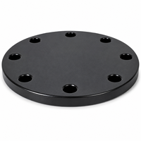 Bride borgne personnalisée en PEHD DN200, raccord de tuyauterie PE100 résistant aux UV, électrofusion haute pression pour alimentation en eau DN20-630mm