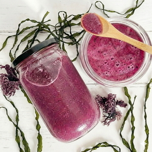 Musgo Marino Morado Seco al Sol - Product Image 1