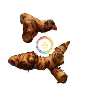 Raíz de galangal fresca y cruda con procesamiento IQF, galangal congelado envasado al vacío, gran oferta 2026, galangal con entrega rápida disponible - Product Image 6