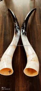 Real Buffalo Pear Horn High Quality <b>Hand</b> <b>Made</b> with Polished Custom Size Low Price and Real Cow Horn Pair Top Sales - Product Image 6