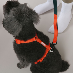 Adjustable <b>Pink</b> Pet <b>Harness</b> Vest Dog and Cat Walking <b>Harness</b> Adjustable Strap Pet Supplies - Product Image 6