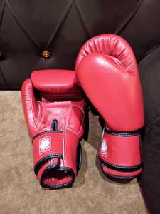 Guantes de Boxeo Twins Muay Thai Sanda Hechos a Mano con Cuero Genuino de Vaca, para Entrenamiento Profesional, Sparring, Transpirables, con Muñequera Ajustable - Product Image 5
