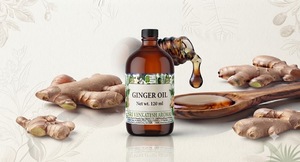 Ginger Root <b>Essential</b> <b>Oil</b> Steam Distilled Botanical Ingredient for Cosmetic Formulations Soap Making Fragrance and Bulk Supply - Product Image 4