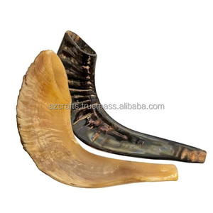 Shofar en corne de bœuf poli en gros - Artisanat de haute qualité, objet d'art et de collection, fabricant de shofars naturels (A Z CRAFTS) - Product Image 5