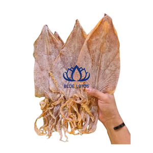 ปลาหมึกแห้งบลูโลตัส โปรตีนสูง แคลอรีต่ำ ขนมขบเคี้ยวจากทะเลระดับพรีเมียม บรรจุภัณฑ์สุญญากาศรักษ์โลก มาตรฐานส่งออกของสหภาพยุโรป - Product Image 1