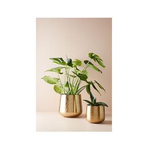 Maceta de metal pulido con efecto espejo dorado utilizada en decoración del hogar, hoteles y restaurantes. - Product Image 5