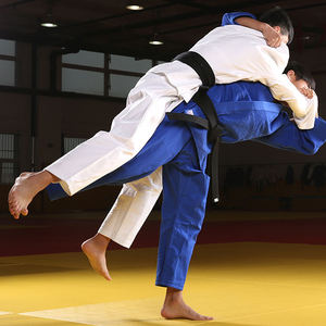 Kimono de Judo et Jiu-Jitsu de Haute Qualité 2026 – Tenue d'Arts Martiaux Personnalisée Bleue Unisexe - Product Image 4