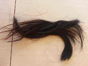 Pinceau en Fibres Naturelles de Corne d'Animaux Polies et Organiques (Queue de Buffle) pour Teinture Capillaire – Haute Qualité, Imperméable, Idéal pour Cadeau d'Affaires - Product Image 6