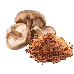Poudre de Champignons Shiitake Haute Concentration en Gros pour OEM – Superaliment Naturel pour le Soutien Immunitaire – Fournisseur en Vrac - Product Image 4
