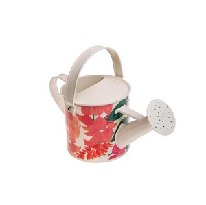 Arrosoir rond en fer émaillé, couleurs assorties, avec autocollants, idéal pour plantes, pépinières et jardins – Meilleures ventes - Product Image 1