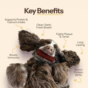 Friandises à mâcher douces au lait de yak de l'Himalaya pour chiens, à longue durée d'action, riches en protéines et en calcium, sans céréales, pour le soutien immunitaire et la santé de la peau - Product Image 3