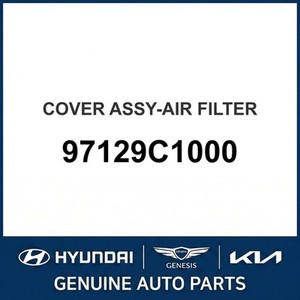 Nouveaux filtres à air Cadenza 97129C1000 - Product Image 1