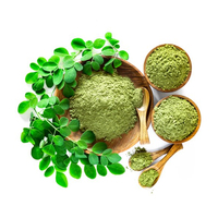 Bubuk Ekstrak Daun Pohon Drumstick Kering Murni Terlaris, Bubuk Moringa Oleifera Hijau