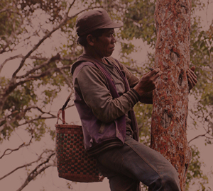 Résine de benjoin 35% BB (BZ-0108) Van Aroma - Product Image 1