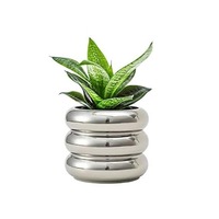 Pot de fleurs en fer chromé au design moderne, durable, écologique, pour la décoration de la maison et du jardin, personnalisable