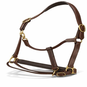 Harnais de cheval en cuir anglais durable avec nezier rembourré doux, quincaillerie en alliage, personnalisable OEM ODM pour concours et usage polyvalent - Product Image 5