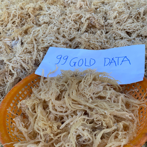 Mousse de mer séchée au soleil naturelle d'origine vietnamienne pour la cuisine végétalienne et l'apport de minéraux essentiels aux repas quotidiens - Product Image 1