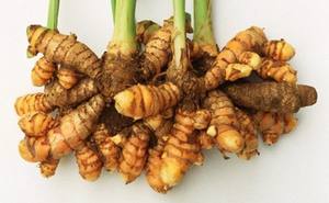 ขมิ้นอบแห้ง100% ธรรมชาติ, ไม่มีสารกันบูด, ไม่มีสารเติมแต่ง, ไม่มีสีและไม่มีรส/คุณลิมา - Product Image 3