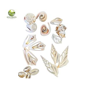 Cortes de Conchas Marinas Decorativas al por Mayor, Piezas Naturales de Conchas Oceánicas para Manualidades de Joyería y Adornos para el Hogar - Product Image 4