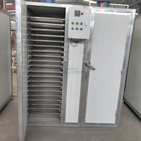 Plantaardige Droogoven/Gmp Voedselproductielijn/Fruit Drogen En Dehydrateren Machine