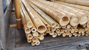Venta al por mayor a granel de bambú crudo seco ecológico producto agrícola vietnamita para arquitectura de paisaje natural al aire libre - Product Image 2