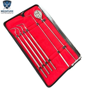 MEDIPURE INSTRUMENTS – Kit complet d'instruments dentaires manuels en acier inoxydable de haute qualité pour équidés – Sonde et curette parodontale - Product Image 3
