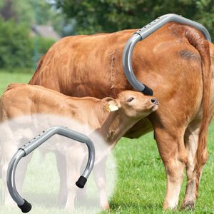Bestselling Reusable Adjustable Kick Stop Cattle Immobilizer Anti-Kick Device Heavy Duty Veterinary Instrument for <b>Cow</b> Farm - Product Image 5