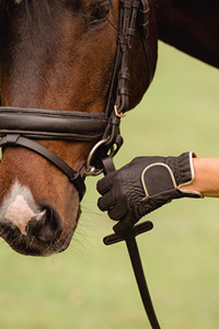 Gants d'équitation en maille respirante, légers, pour l'été, gants d'équitation à séchage rapide, flexibles, mitaines d'équitation - Product Image 6