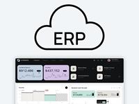 Software ERP Personalizzato di Alta Qualità, Sviluppo Software per Automazione Aziendale, Analisi in Tempo Reale, Server di Rete per il Settore B2B