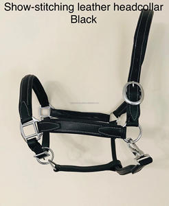 Diseño personalizado marrón inglés sillín caballo Halter genuino D.D cuero Noseband tocado Premium ecuestre caballo equipo - Product Image 6