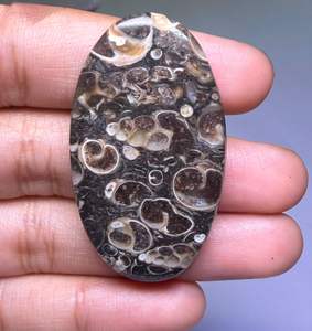 Lote al por mayor de cabujones de ágata TURRITELLA por peso con diferentes formas y tamaños utilizados para la fabricación de joyas, piedra TURRITELLA - Product Image 3