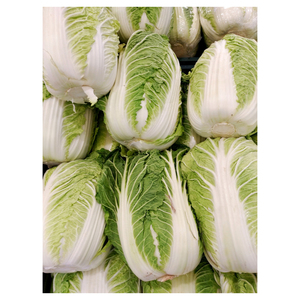 Vegetales Frescos para Bebés: Apio y Repollo - Product Image 3