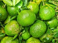 Verse Sappige Zoete Groene Sinaasappelen Van Vietnam Premium Kwaliteit Citrusvruchten Voor Export Internationale Markt Klaar