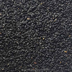 Pure & Natural Kalonji Fruit <b>Powder</b> From India - Product Image 3