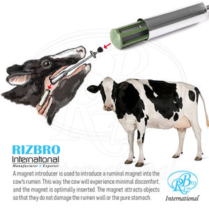 Pistola de Alimentación Magnética de Acero Inoxidable con Cabezal Metálico, Diámetro Interior de la Copa 39x125mm, Longitud 21.5 Pulgadas, Pistola de Bolus - Product Image 6
