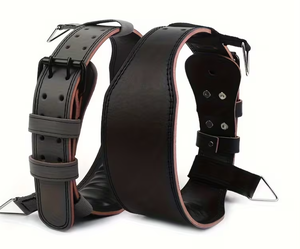 Ceinture de soutien dorsal réglable en cuir avec boucle métallique, antidérapante, protection de base pour l'entraînement musculaire, correction de la posture, fitness - Product Image 1