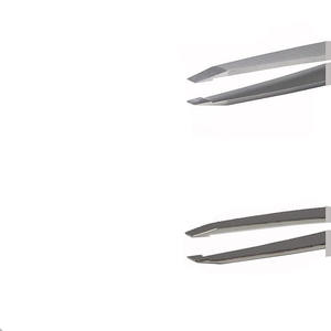 Pince à épiler RMI Angle Point Silver Matt en acier inoxydable et 1 boîte en acrylique pour le rangement, ensemble de pinces à épiler - Product Image 3
