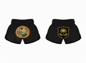 Vêtements d'arts martiaux, shorts de compétition de Muay Thai, dernières conceptions brodées personnalisées, shorts de kickboxing - Product Image 2