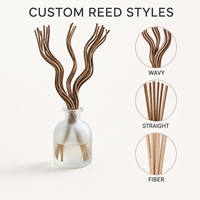 Diffuseur de parfum d'ambiance personnalisé en verre rond avec bâtonnets en fibre torsadée 100 ml OEM