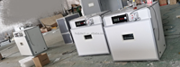 Incubateur solaire entièrement automatique pour poulets, canards, oies, cailles, 528 œufs, taux d'éclosion élevé, machine d'éclosion pour élevage avicole HJ-SI6