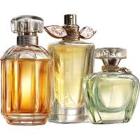 Extrait de plante aromatique indienne de qualité industrielle, ingrédient botanique naturel pour le bien-être, vente en gros OEM