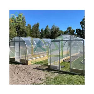 Garden greenhouse vegetable garden greenhouse flower seeds