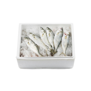 Frozen Whole Red Tilapia <b>Fish</b> for Food Industry - Product Image 6